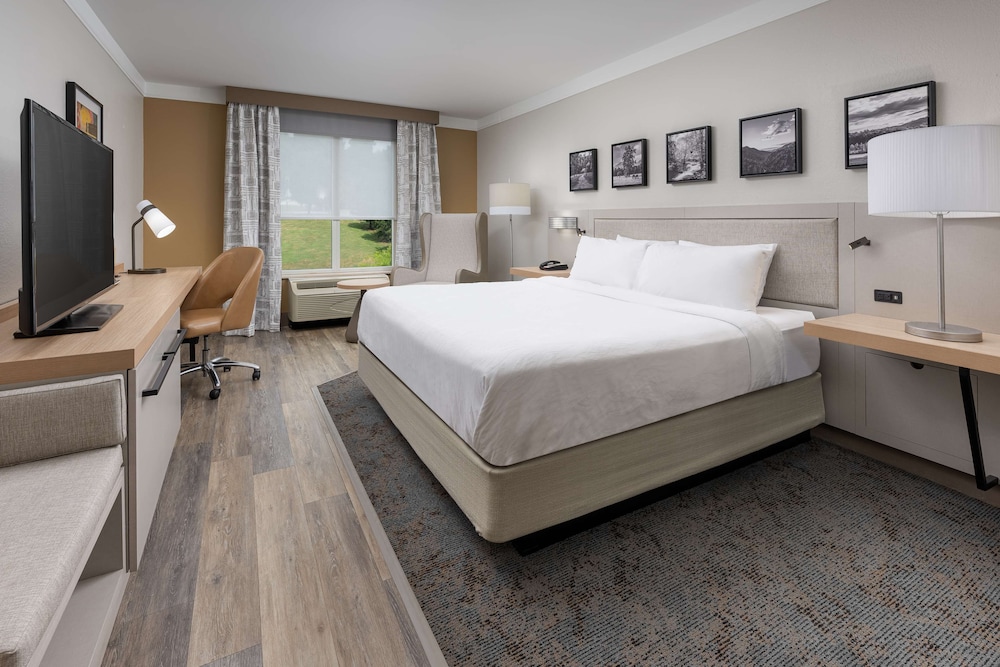 Hilton Garden Inn Chattanooga Downtown - photo 11