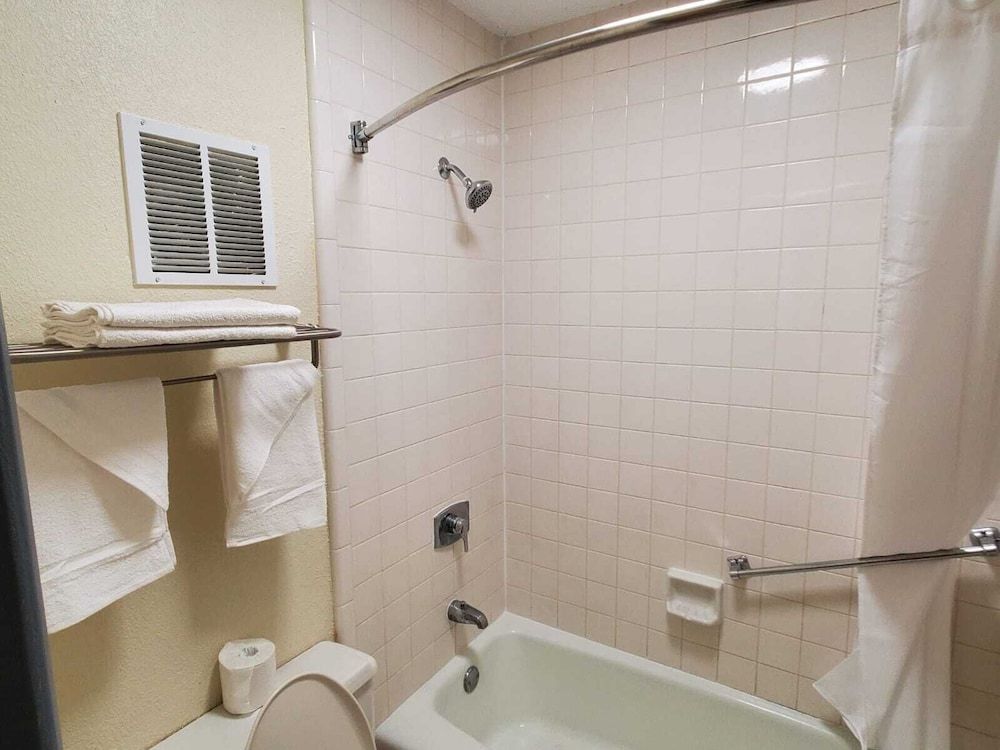 Palmetto Inn & Suites - photo 8