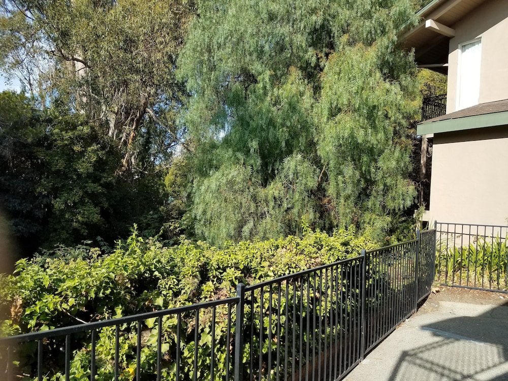 Olive Tree Inn & Suites by Howard Johnson WYNDHAM - photo 45