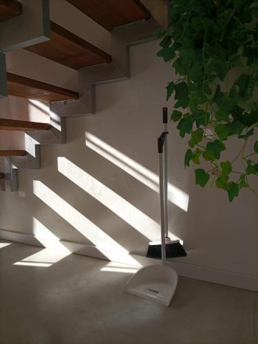 Alojamiento Semilla — Posadas — photo 4