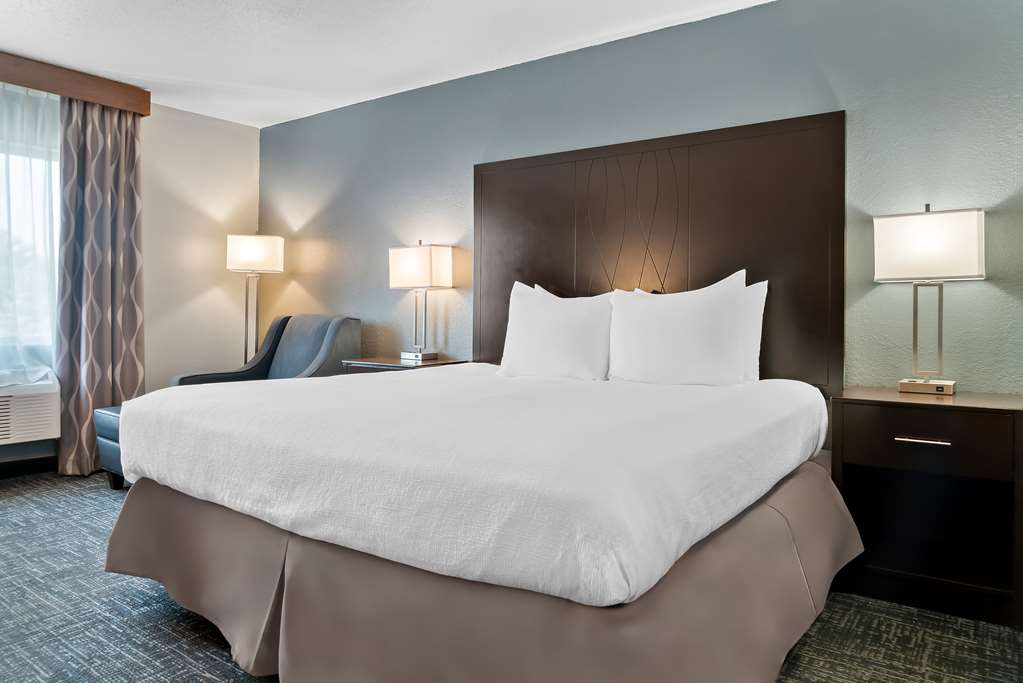 Best Western Plus Flint Airport Inn & Suites - photo 32