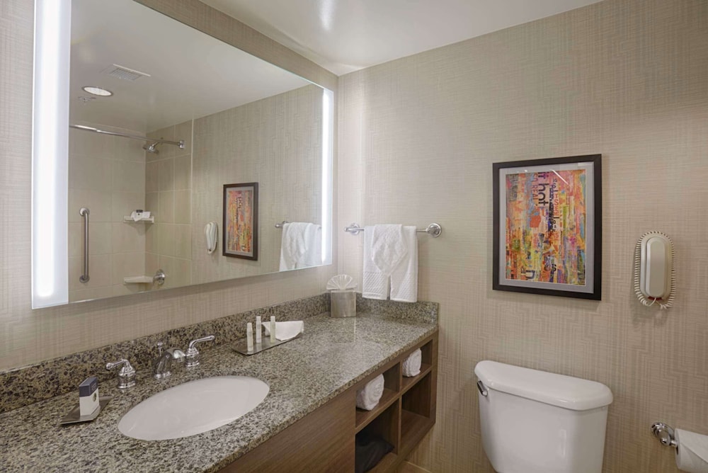 DoubleTree by Hilton San Francisco Airport North Bayfront - photo 13