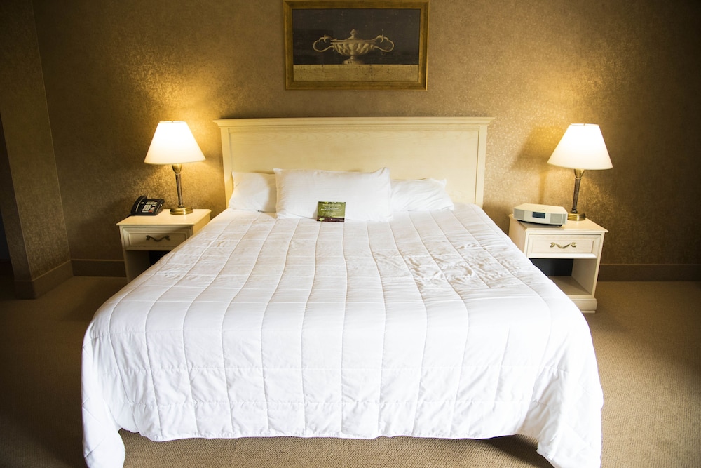Pocono Palace Resort - photo 17