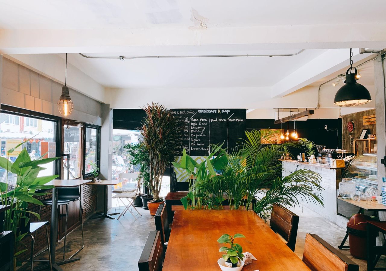 OasisCafe&Nap Hostel