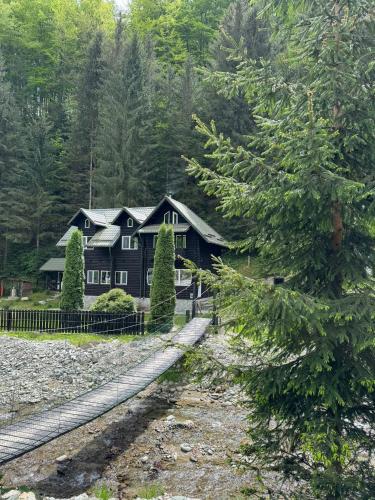 Cabana dintre Văi - last minute hotel in Runcu