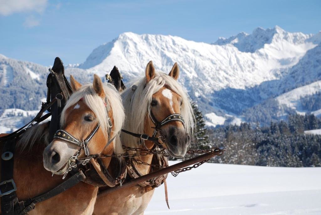 Haus Aigner — 4-Star Luxury Hotel in Oberstdorf, Germany