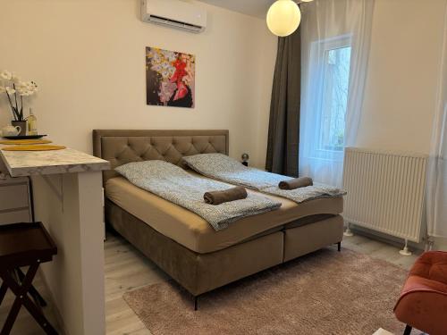 Suzannah Apartment by the Danube — 4-Star Luxury Hotel in Budapest, Hungary