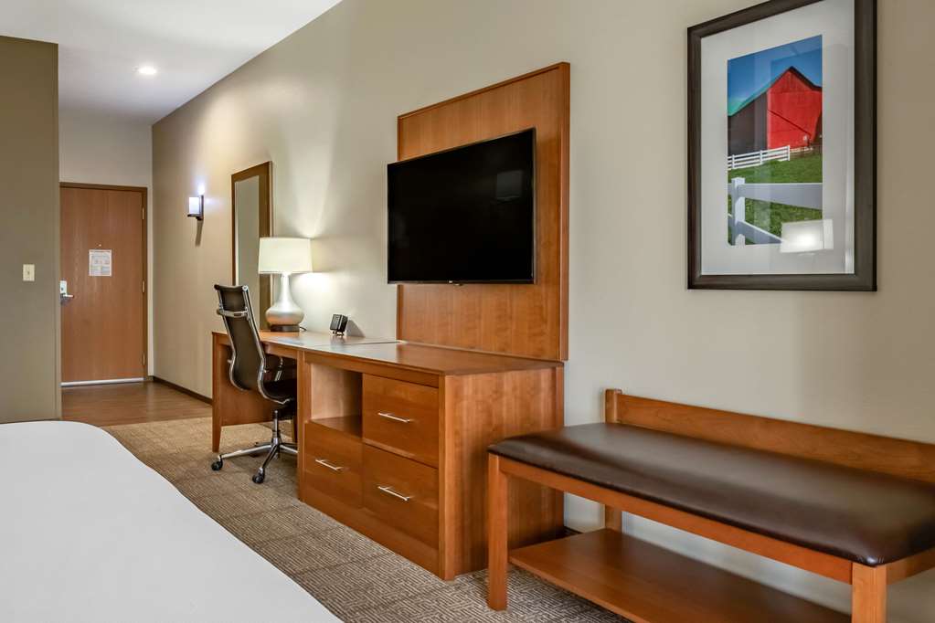 Comfort Suites Hotel and Conference Center - photo 21