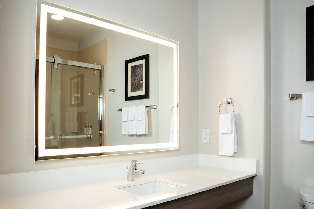 Holiday Inn Express & Suites Las Cruces North by IHG - photo 6