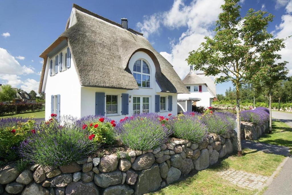 Luxushaus Boddenküste mit Sauna — 4-Star Luxury Hotel in None, Germany