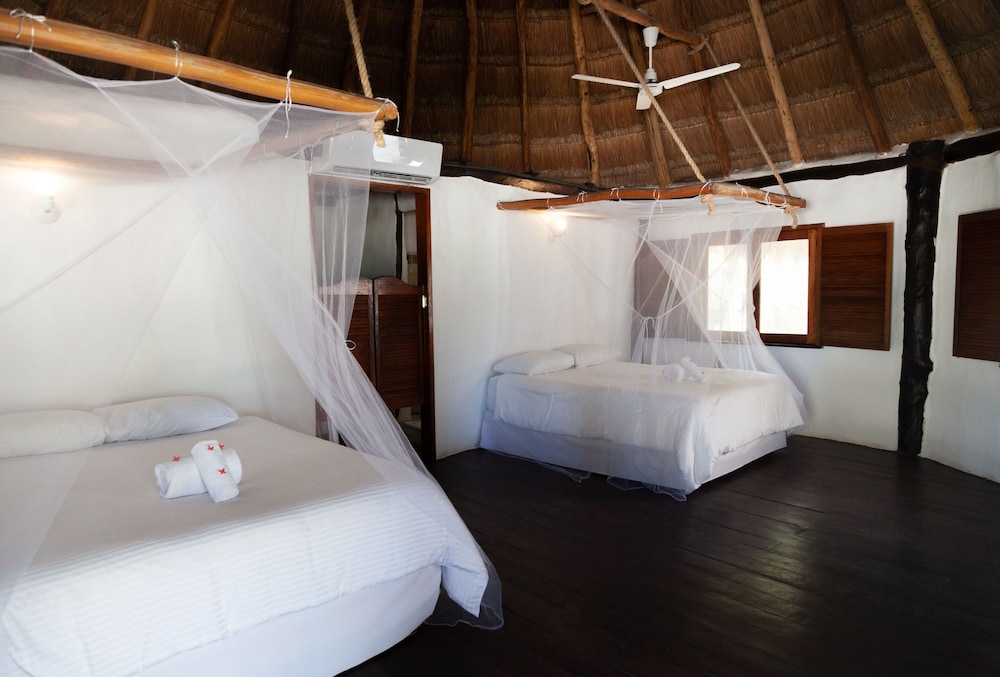 Blue Holbox