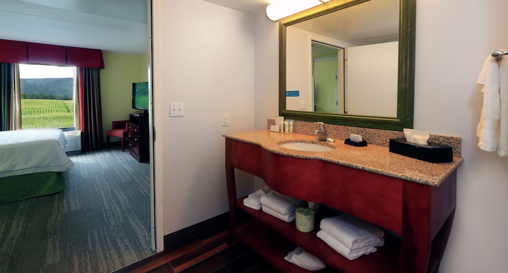 Hampton Inn & Suites Lamar - photo 43