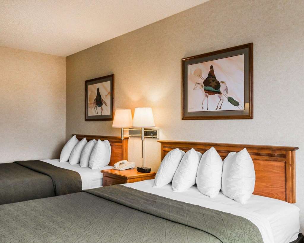 Quality Inn & Suites Montrose Black Canyon Area - photo 16