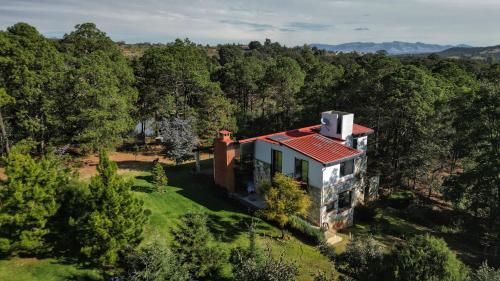 Alolah En El Corazon Del Bosque Huasca — La Venta