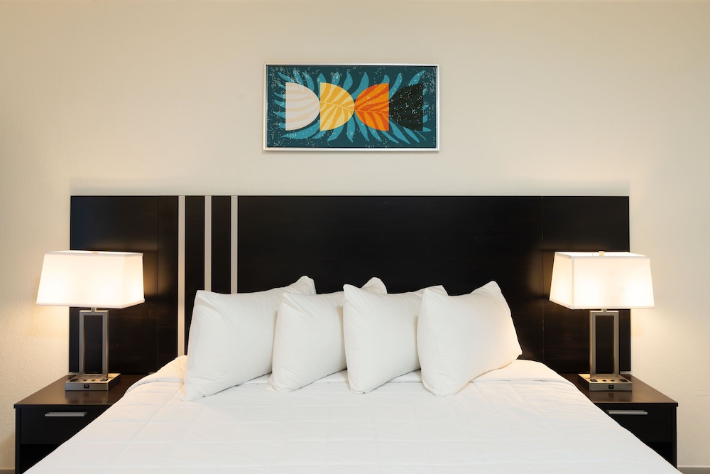 Karma Nest Tampa - photo 48