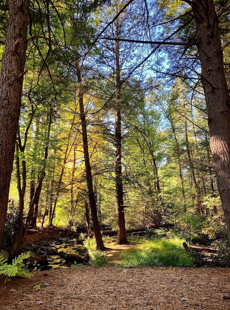 Magnolia Streamside Resort - photo 50