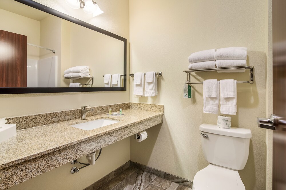 Cobblestone Hotel & Suites Victor - photo 19
