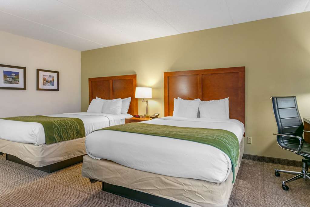 Comfort Inn Chattanooga Downtown Southside - photo 61
