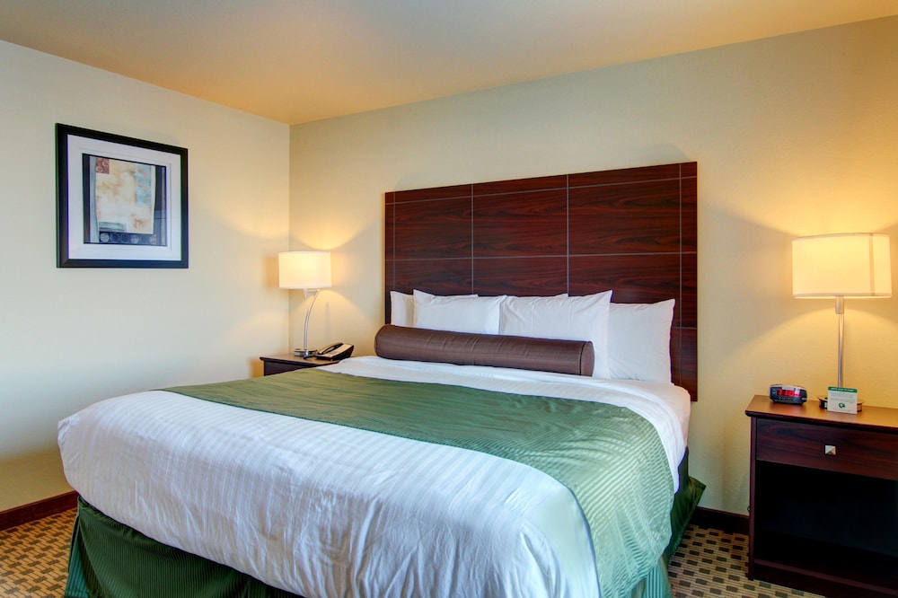 Cobblestone Inn & Suites Steele - photo 10