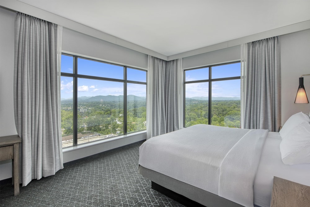 Embassy Suites By Hilton Asheville Downtown - photo 19