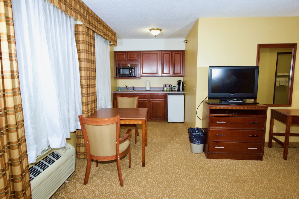 Holiday Inn Express & Suites St. Louis West Fenton by IHG - photo 35