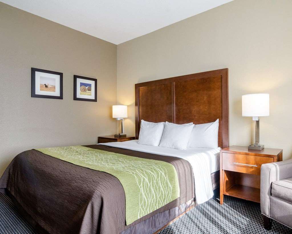 Comfort Inn Garden City - photo 19