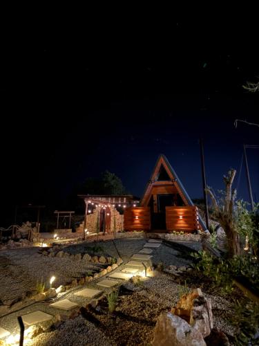 Oliviare in Unknown City, Cyprus