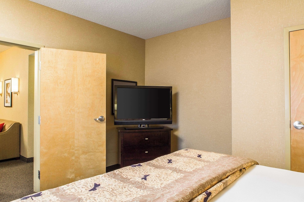 Cambria Hotel Raleigh Durham Airport - photo 10