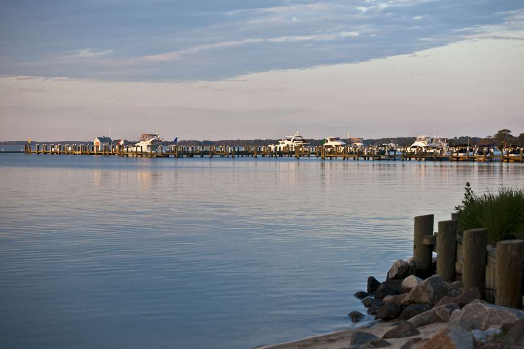 Hyatt Regency Chesapeake Bay - photo 25