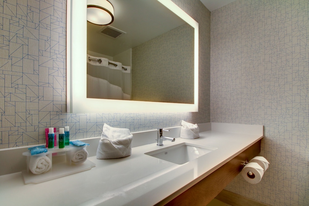 Holiday Inn Express & Suites Aurora Naperville by IHG - photo 29