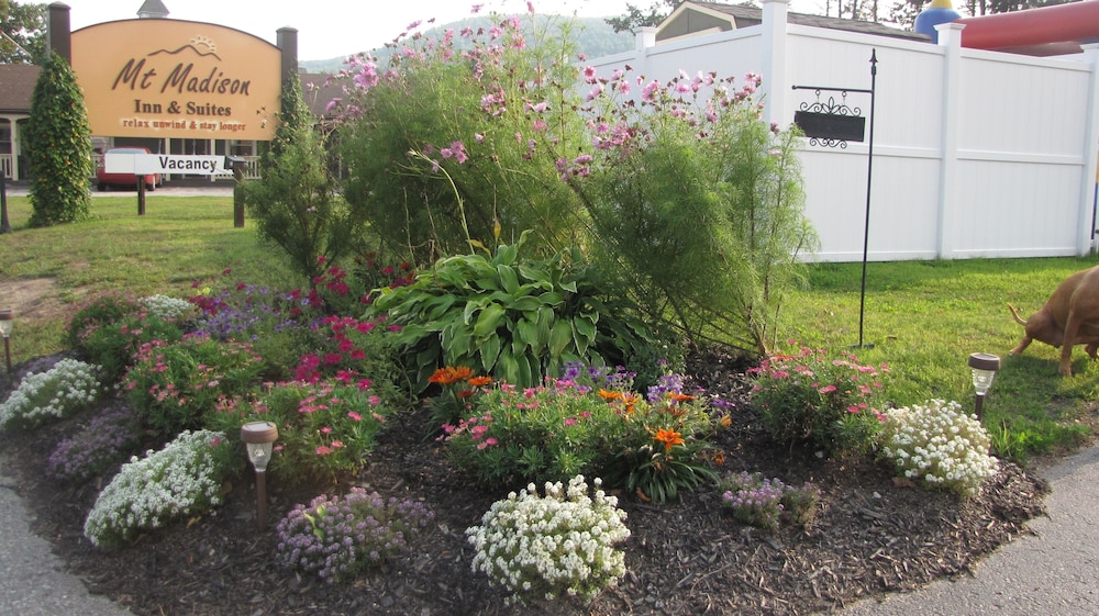 Mt Madison Inn & Suites - photo 47