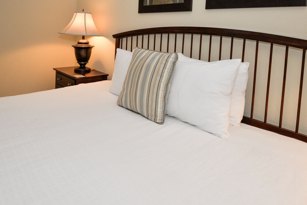Orlando Luxury Escapes - photo 523