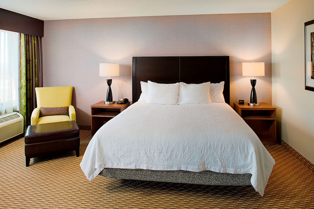 Hilton Garden Inn Hartford North Bradley International Airport - photo 21