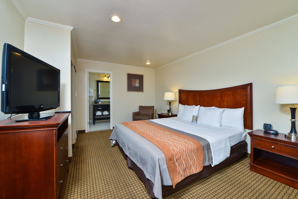 Blu Pacific Hotel - photo 8