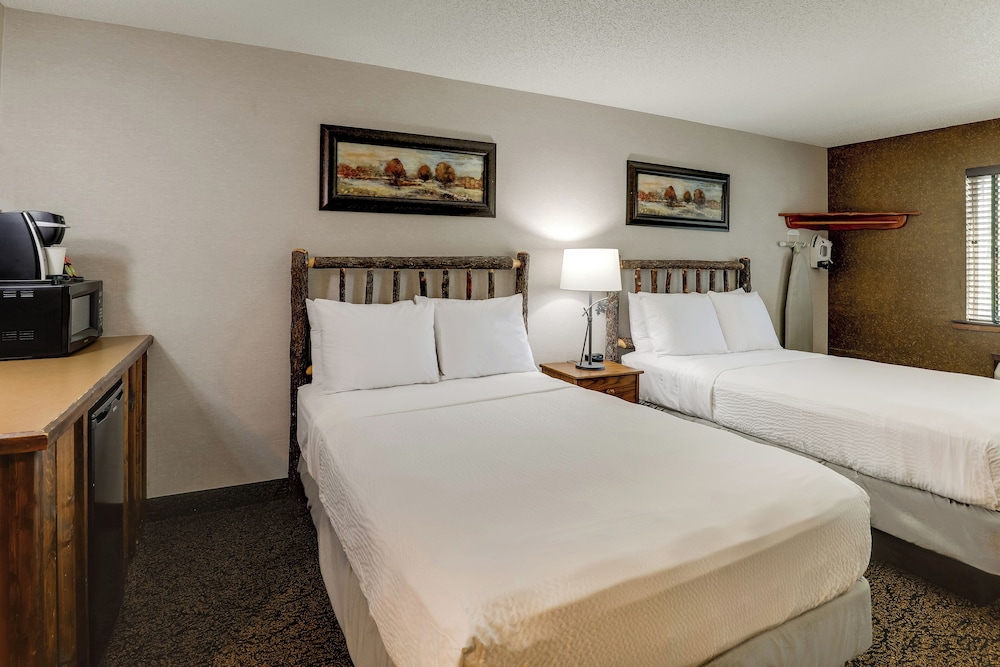 Stoney Creek Hotel St. Joseph - photo 12