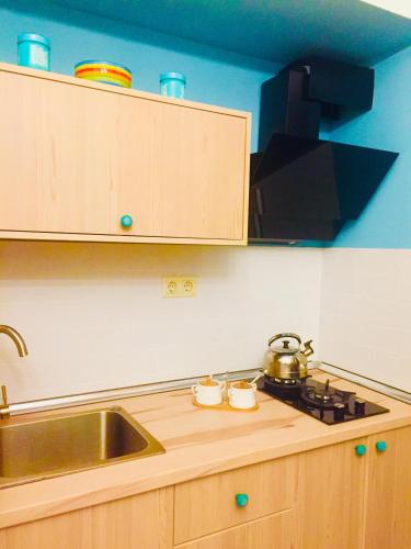 Comfortable Flat in Central Tbilisi