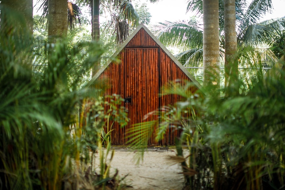 Bufo Alvarius Sanctuary Bacalar in Bacalar, Mexico
