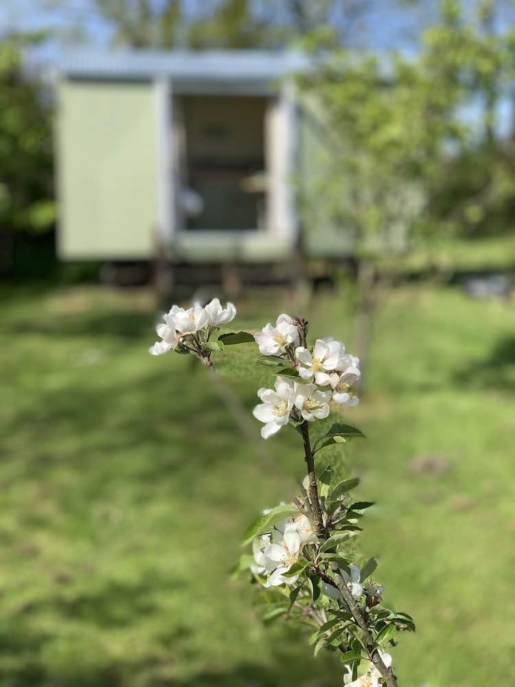 Hillcrest Hut in Kilgetty, United Kingdom
