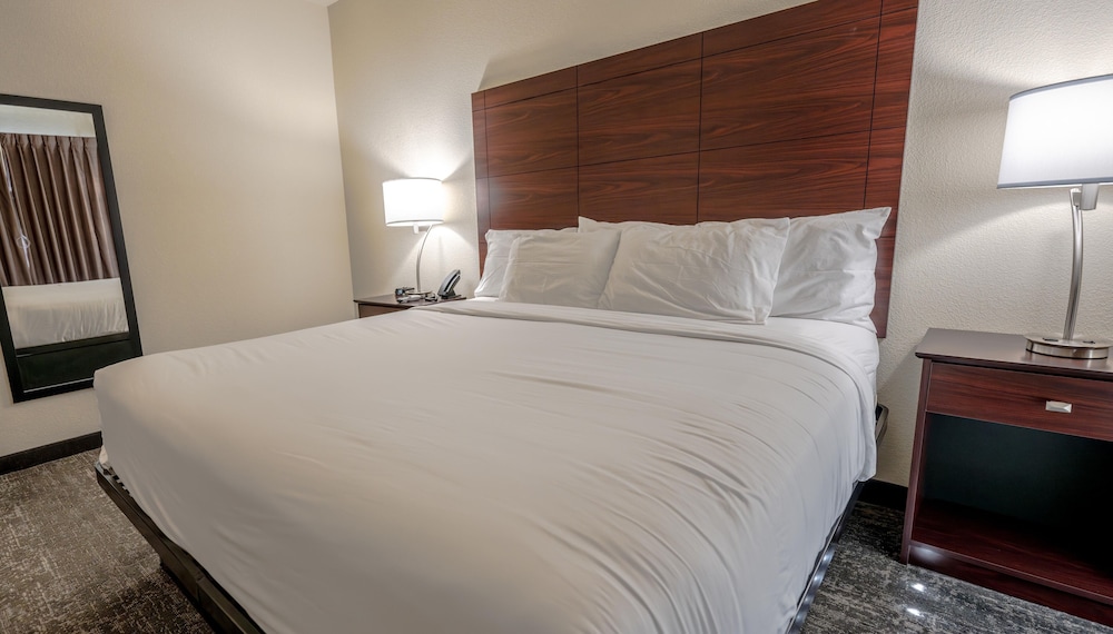 Cobblestone Hotel & Suites Lamar - photo 13