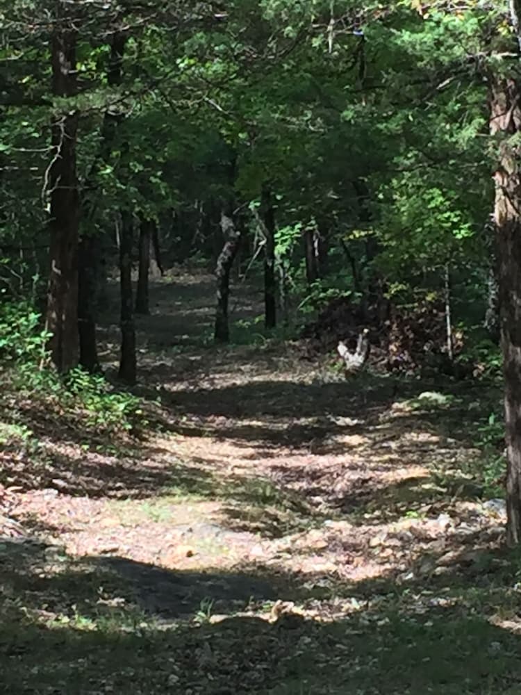 Cherokee mountain log cabin resort - photo 73