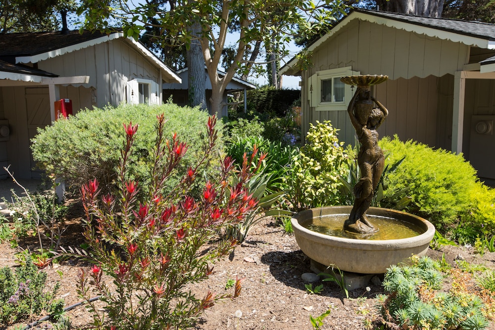 Carmel River Inn & Cottages - photo 63