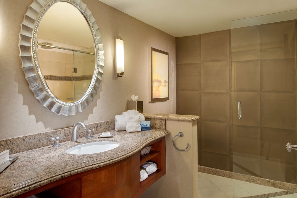 DoubleTree by Hilton Washington Dulles Airport - photo 6