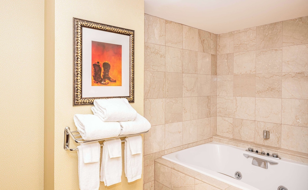 Hilton Richardson Dallas - photo 58