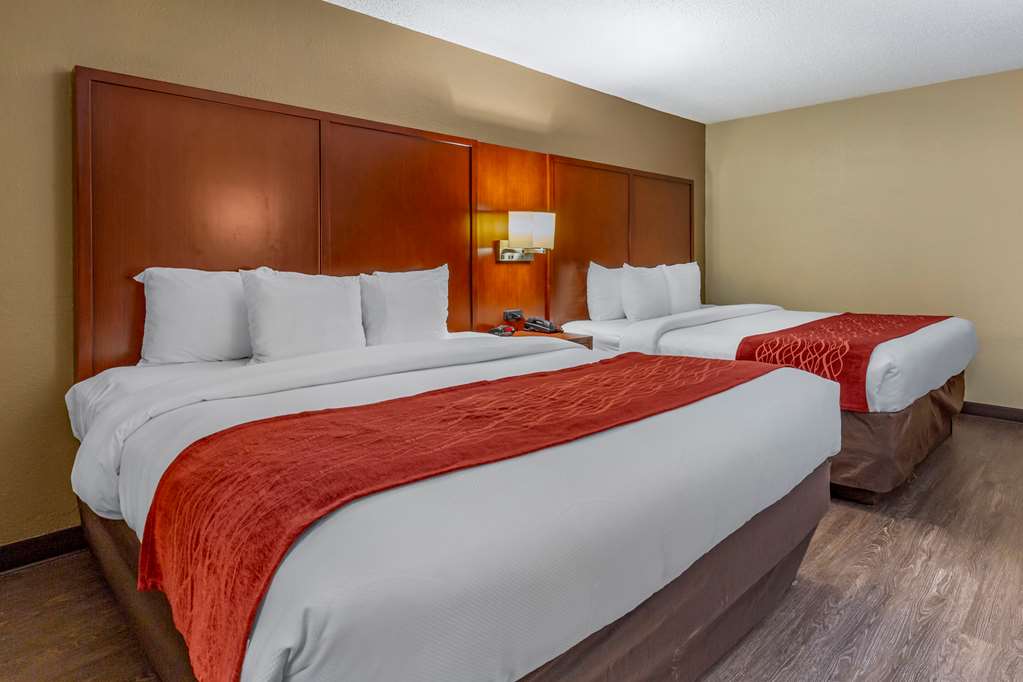 Comfort Inn Fort Mill Amusement Park at Carowinds Blvd - photo 9