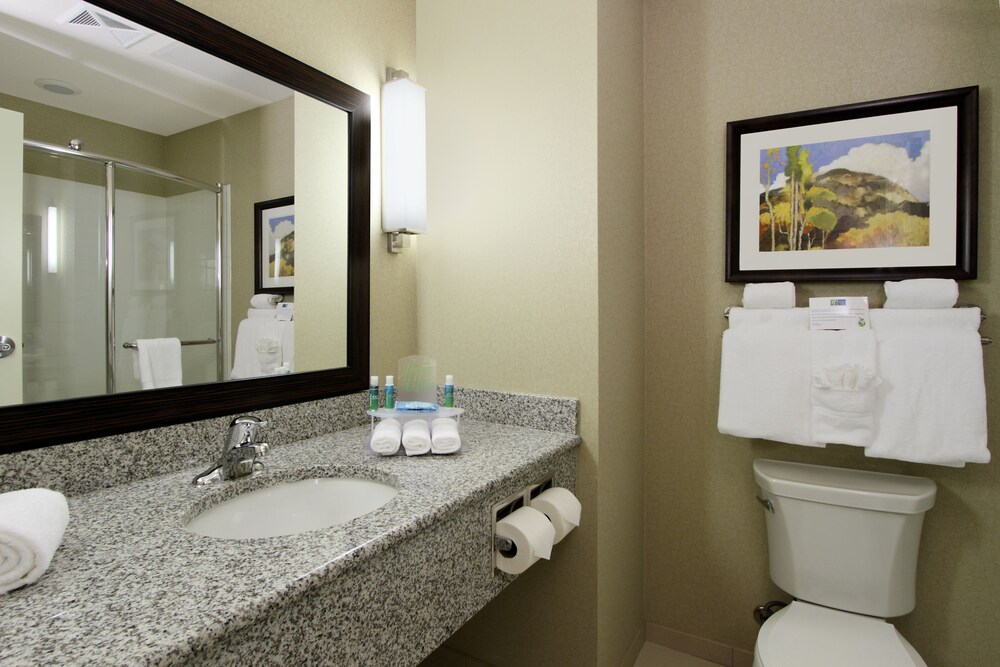 Holiday Inn Express & Suites Colorado Springs First & Main by IHG - photo 17