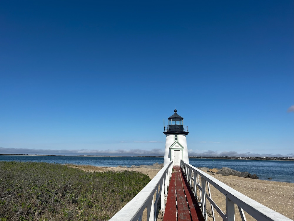 The Brant - photo 28