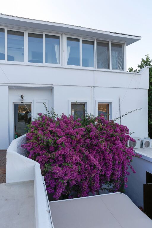 Galen Hotel & Beach - last minute hotel in Bodrum