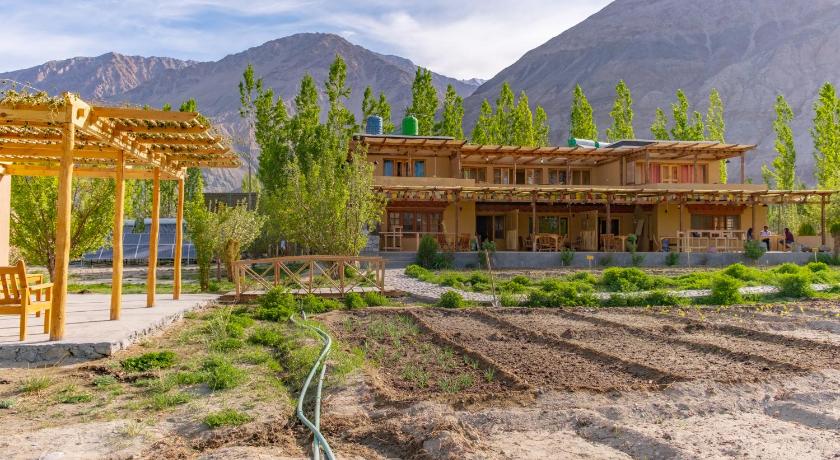 Nubra Ecolodge — Leh — photo 2