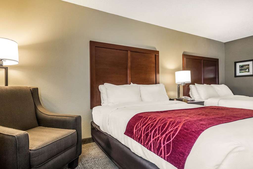 Comfort Inn Ottawa Starved Rock Area - photo 16