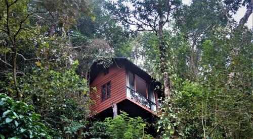Tree6 Wayanad - last minute hotel in Unknown City